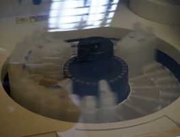 IMG_8060_labtest
